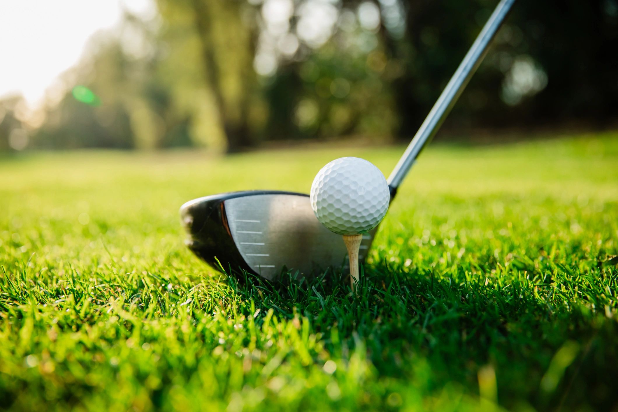 Golf ball and club on a putting green